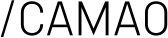 Logo: CAMAO AG