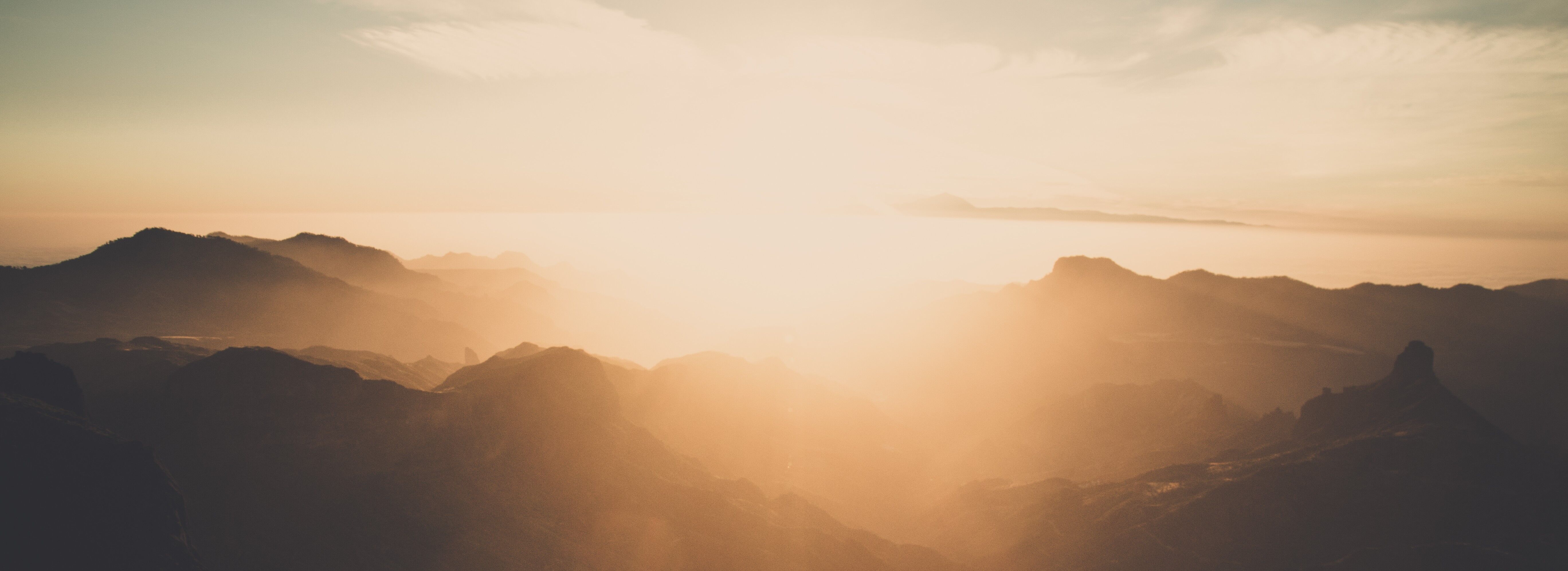 Neos 4.1 and Flow 5.1 released