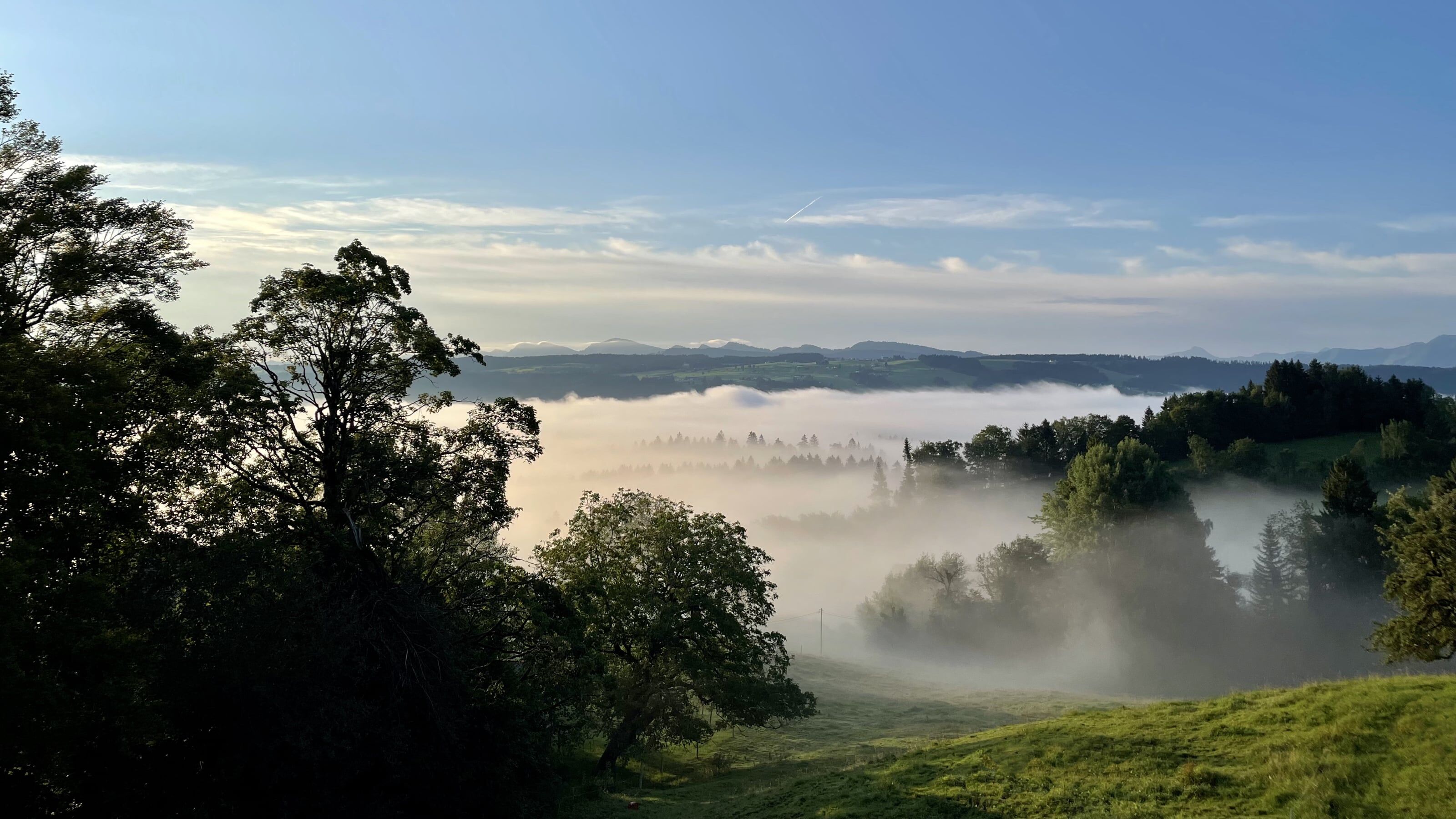 Neos 8.0 "Mad Hatter" released