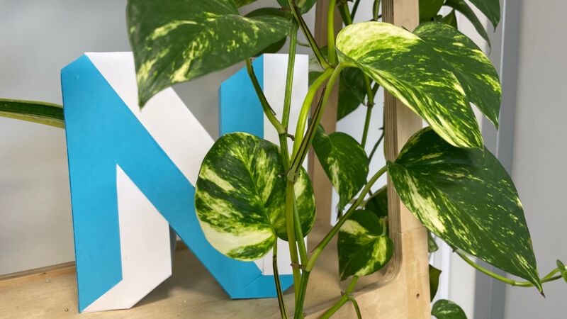 What's NEOS in February 2026