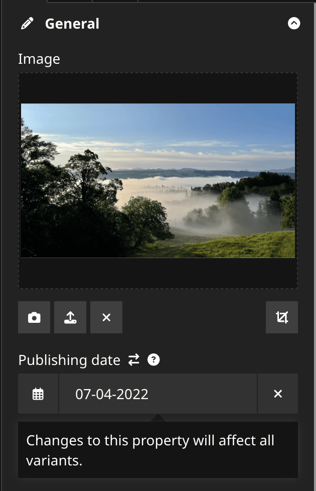 The Neos property inspector showing a scope indicator next to the publication date field