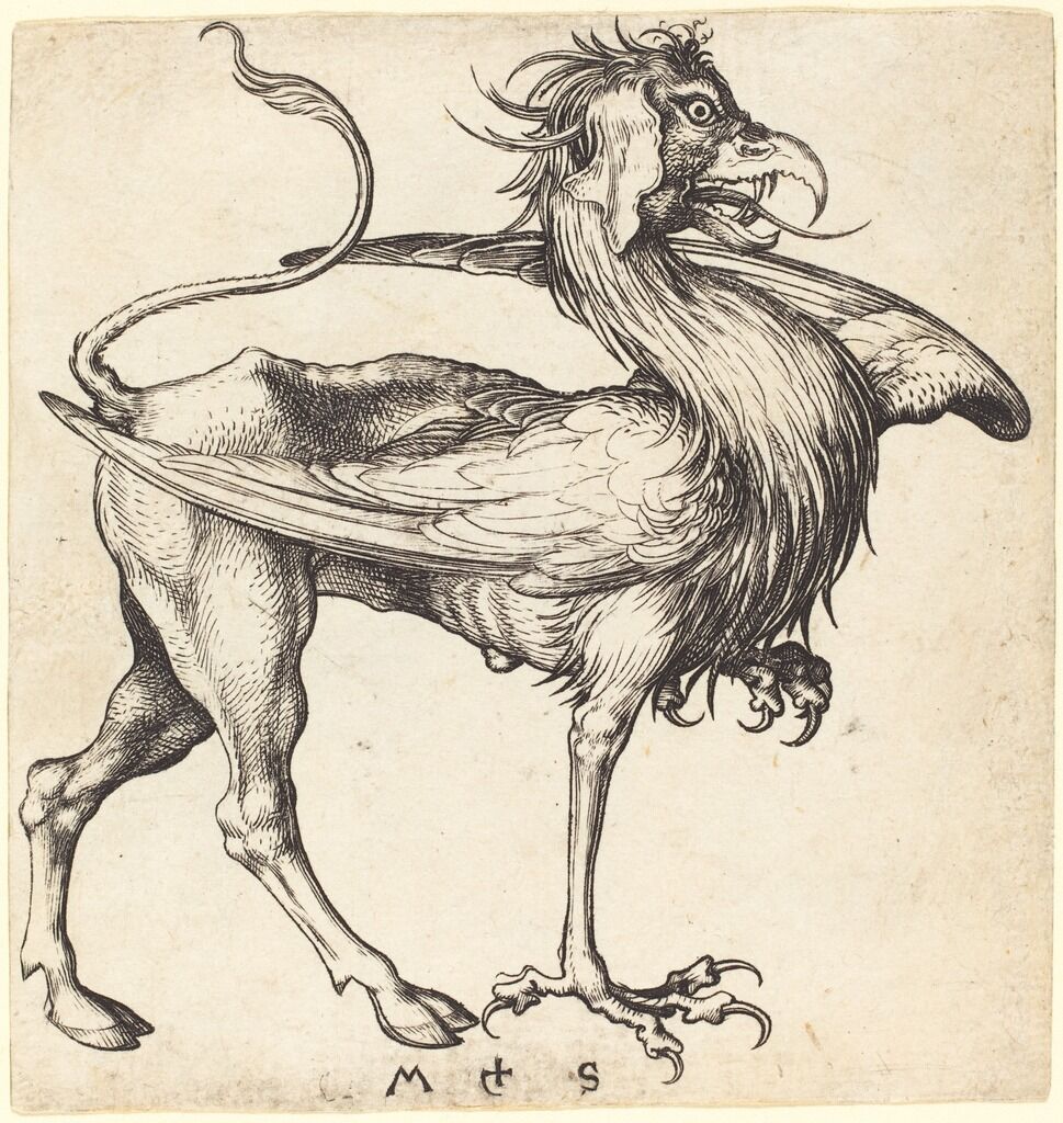 The griffin (15th century)